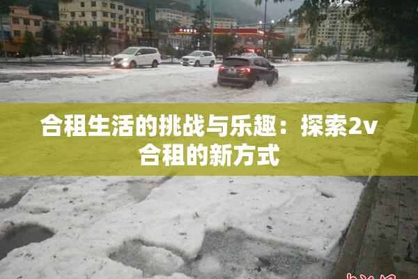 合租生活的挑战与乐趣：探索2v合租的新方式