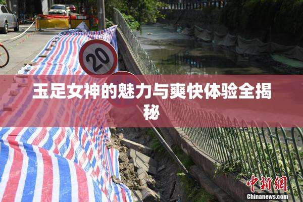 玉足女神的魅力与爽快体验全揭秘
