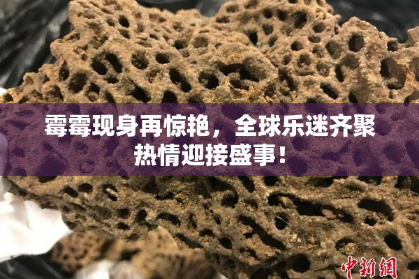 霉霉现身再惊艳，全球乐迷齐聚热情迎接盛事！