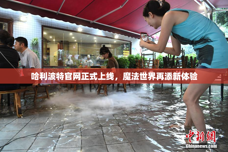 哈利波特官网正式上线，魔法世界再添新体验