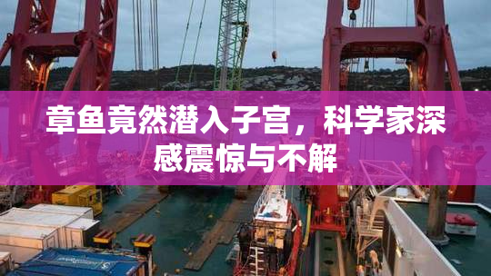 章鱼竟然潜入子宫，科学家深感震惊与不解