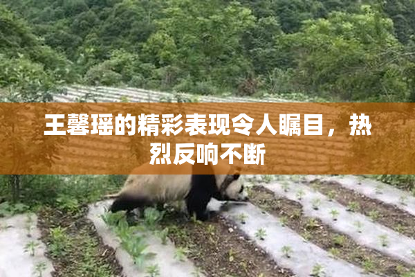 王馨瑶的精彩表现令人瞩目，热烈反响不断