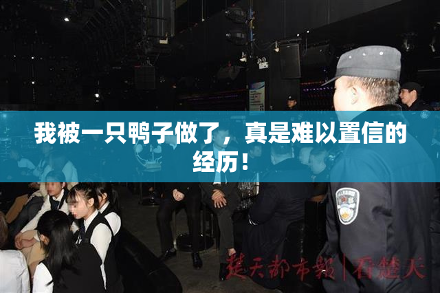 我被一只鸭子做了，真是难以置信的经历！