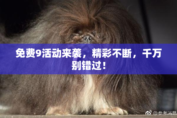 免费9活动来袭，精彩不断，千万别错过！