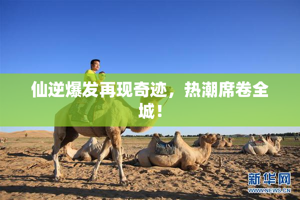 仙逆爆发再现奇迹，热潮席卷全城！