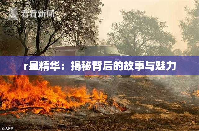 r星精华：揭秘背后的故事与魅力