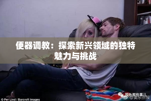 便器调教：探索新兴领域的独特魅力与挑战