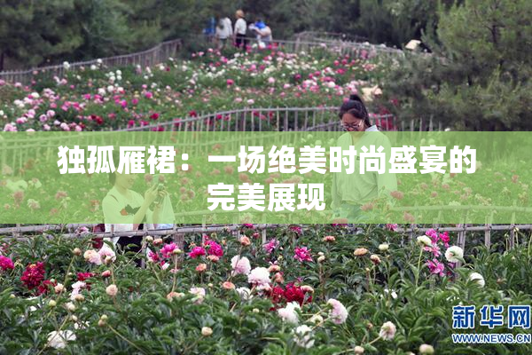 独孤雁裙：一场绝美时尚盛宴的完美展现
