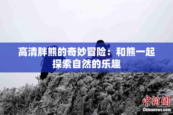 高清胖熊的奇妙冒险：和熊一起探索自然的乐趣