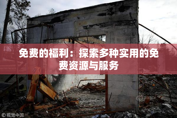 免费的福利：探索多种实用的免费资源与服务