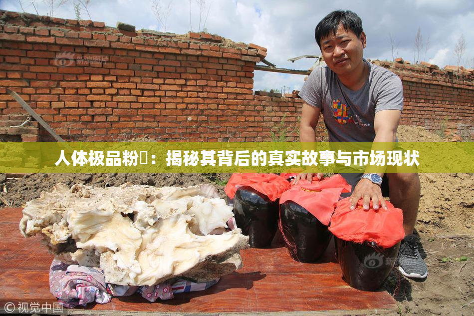 人体极品粉鮑：揭秘其背后的真实故事与市场现状
