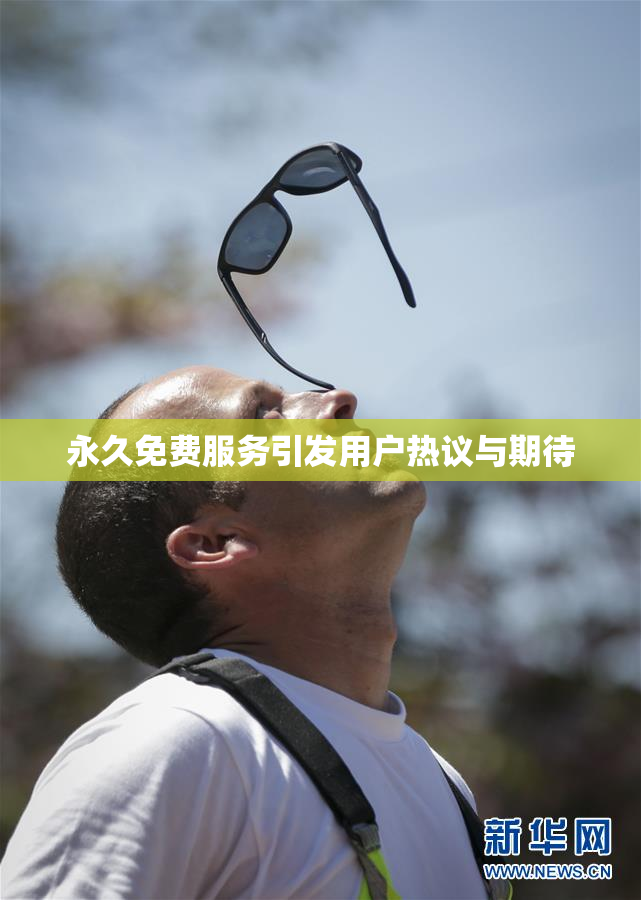 永久免费服务引发用户热议与期待