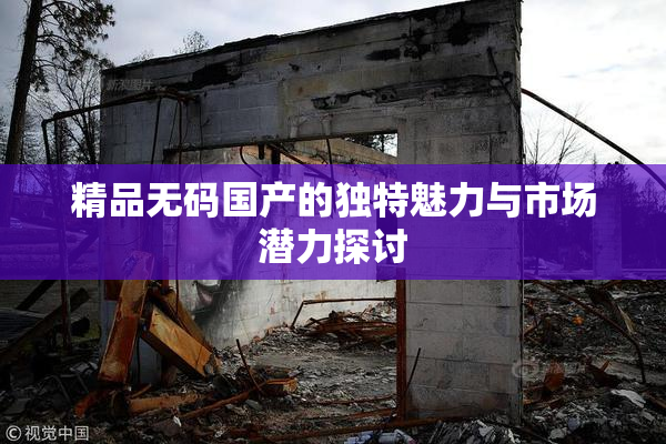 精品无码国产的独特魅力与市场潜力探讨