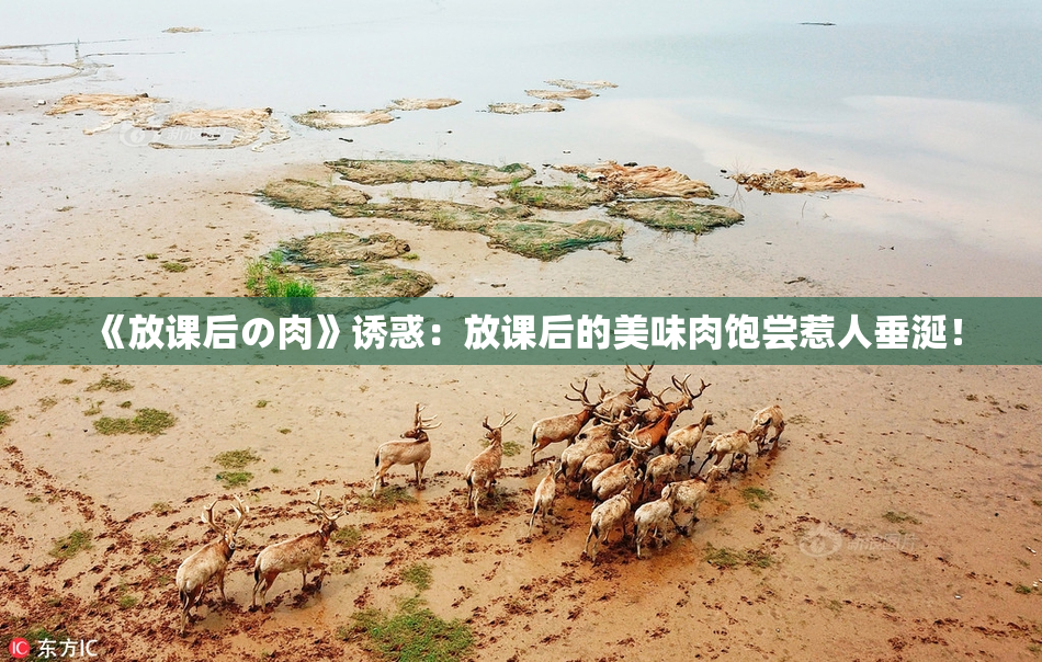 《放课后の肉》诱惑：放课后的美味肉饱尝惹人垂涎！