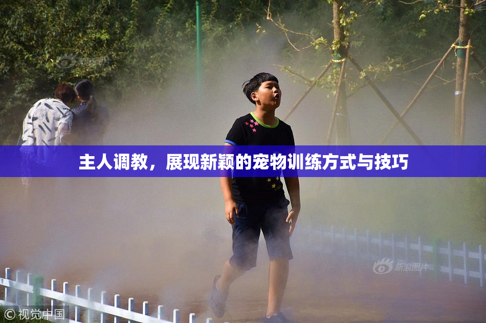 主人调教，展现新颖的宠物训练方式与技巧