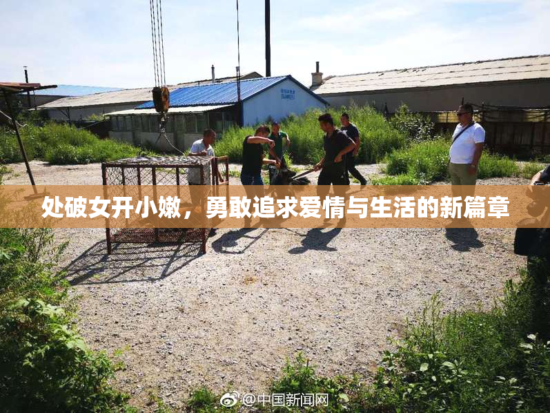 处破女开小嫩，勇敢追求爱情与生活的新篇章