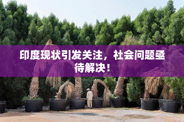 印度现状引发关注，社会问题亟待解决！