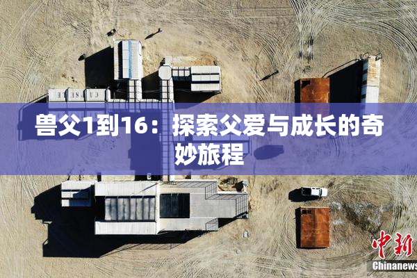 兽父1到16：探索父爱与成长的奇妙旅程