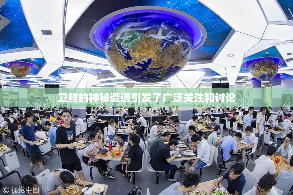 卫鲤的神秘遭遇引发了广泛关注和讨论