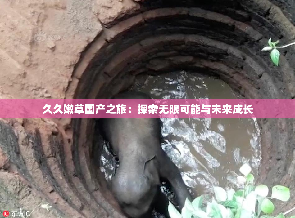 久久嫩草国产之旅：探索无限可能与未来成长