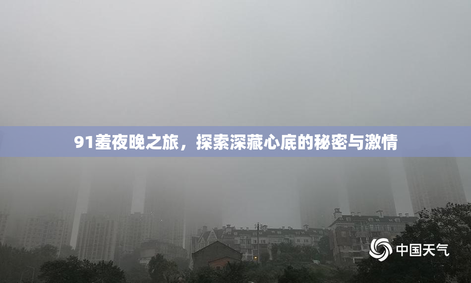 91羞夜晚之旅，探索深藏心底的秘密与激情