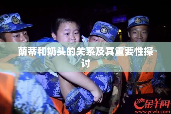 荫蒂和奶头的关系及其重要性探讨