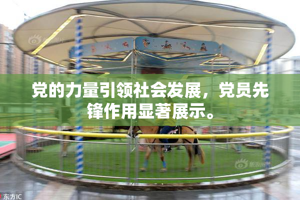党的力量引领社会发展，党员先锋作用显著展示。
