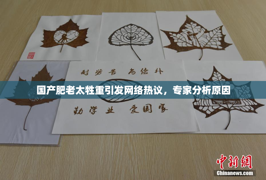 国产肥老太牲重引发网络热议，专家分析原因