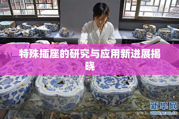特殊插座的研究与应用新进展揭晓
