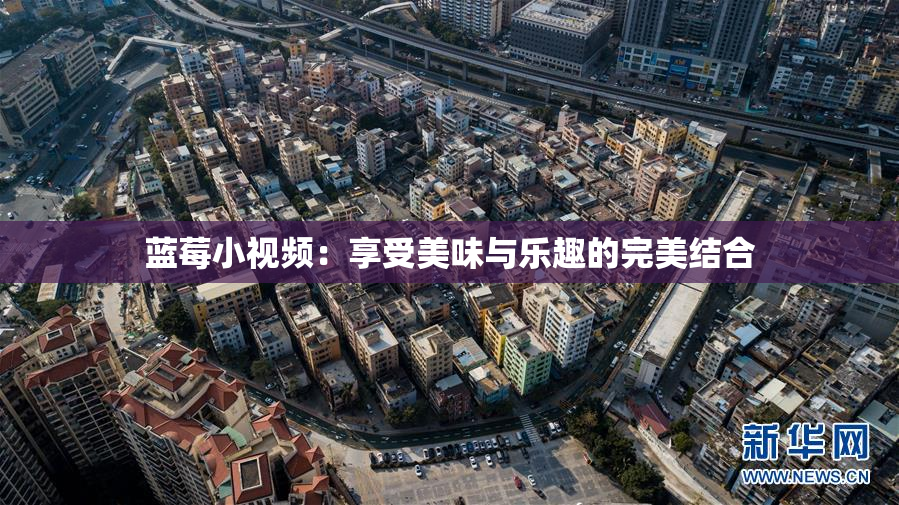 蓝莓小视频：享受美味与乐趣的完美结合