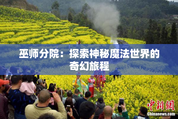巫师分院：探索神秘魔法世界的奇幻旅程