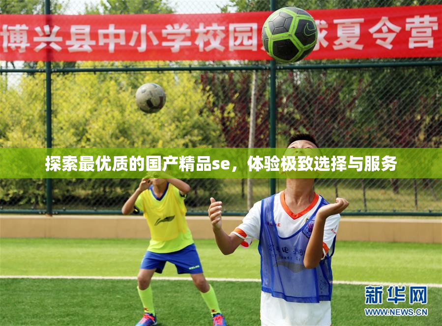 探索最优质的国产精品se，体验极致选择与服务