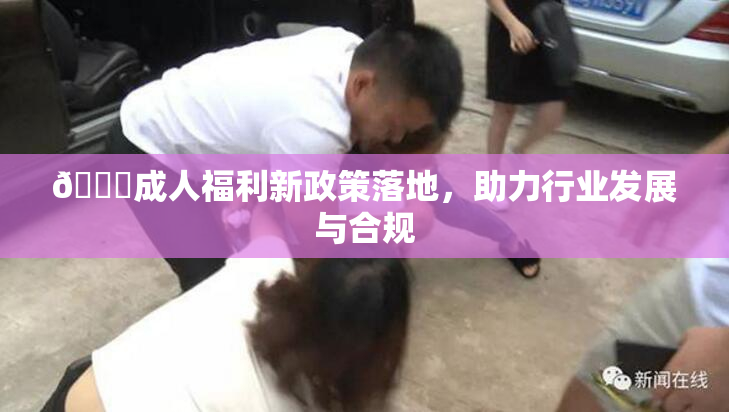🔞成人福利新政策落地，助力行业发展与合规
