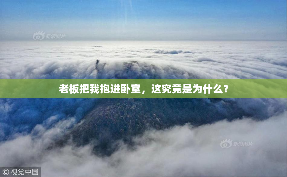 老板把我抱进卧室，这究竟是为什么？
