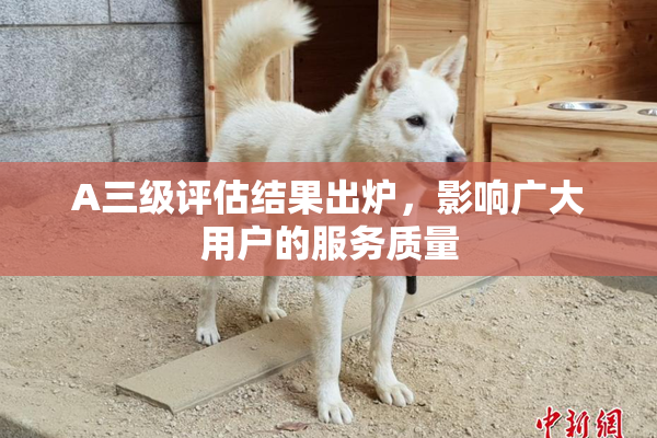 A三级评估结果出炉，影响广大用户的服务质量