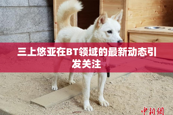 三上悠亚在BT领域的最新动态引发关注
