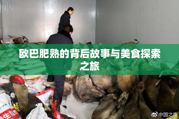 欧巴肥熟的背后故事与美食探索之旅