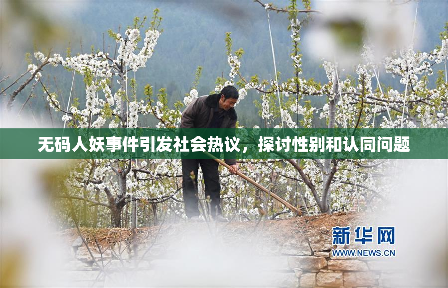 无码人妖事件引发社会热议，探讨性别和认同问题