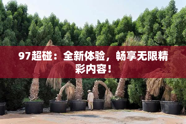 97超碰：全新体验，畅享无限精彩内容！