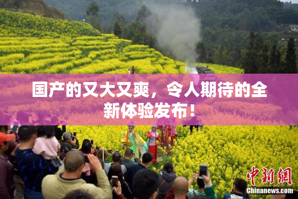 国产的又大又爽，令人期待的全新体验发布！