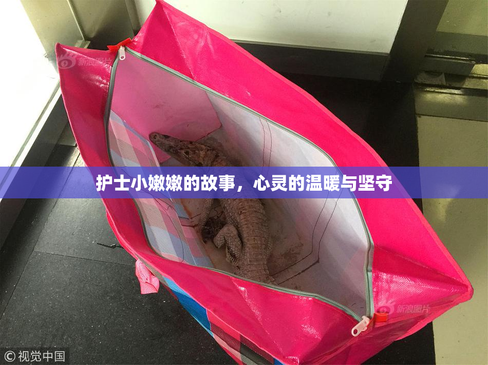 护士小嫩嫩的故事，心灵的温暖与坚守