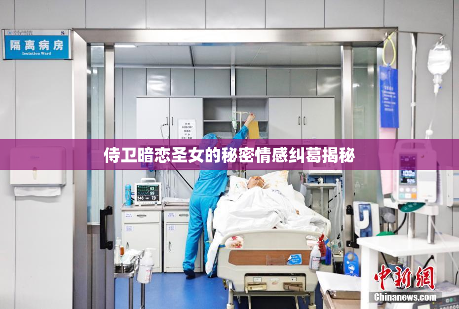 侍卫暗恋圣女的秘密情感纠葛揭秘