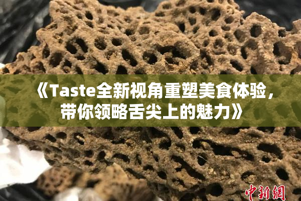 《Taste全新视角重塑美食体验，带你领略舌尖上的魅力》