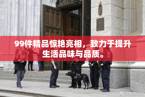 99件精品惊艳亮相，致力于提升生活品味与品质。