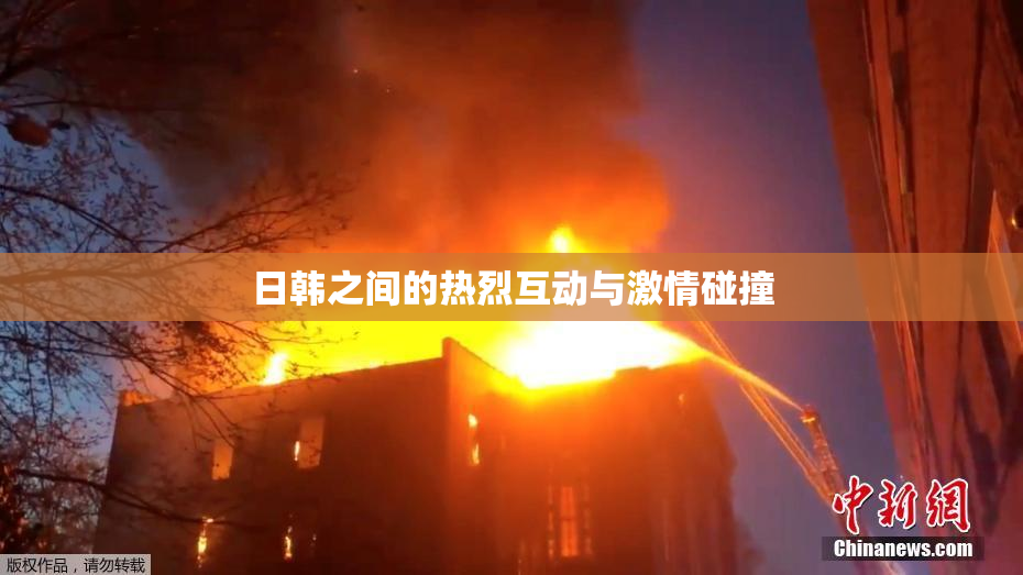 日韩之间的热烈互动与激情碰撞