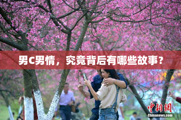 男C男情，究竟背后有哪些故事？