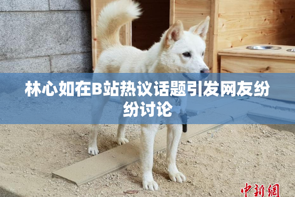 林心如在B站热议话题引发网友纷纷讨论