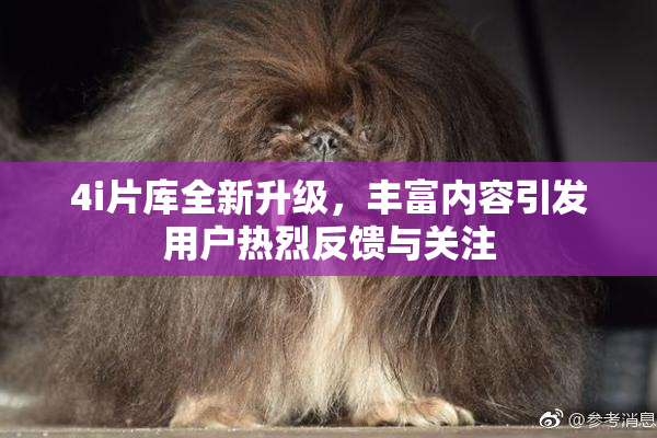 4i片库全新升级，丰富内容引发用户热烈反馈与关注