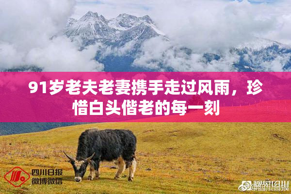 91岁老夫老妻携手走过风雨，珍惜白头偕老的每一刻