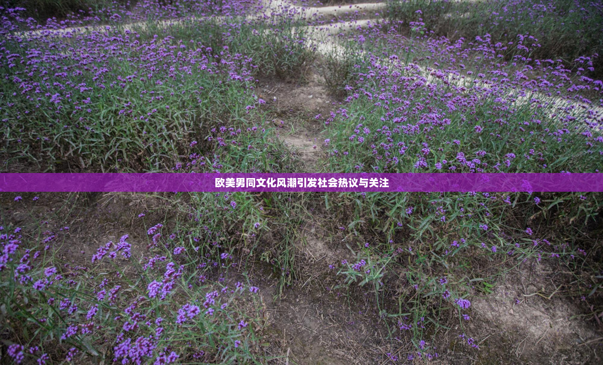 欧美男同文化风潮引发社会热议与关注